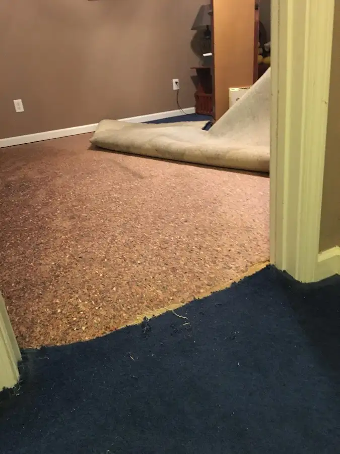 Carpet pad removal revealing water damage during Drying & Dehumidification in Elmwood Park