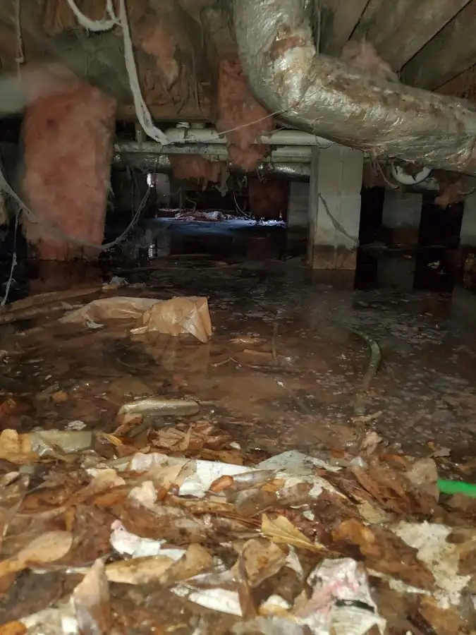 Crawl space flood assessment for Leak Detection & Repair in Elmwood Park