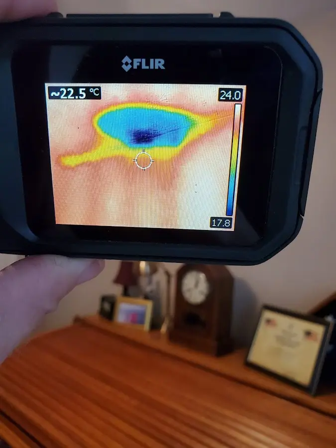 Thermal imaging inspection for water damage in Elmwood Park